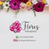 Donacion de 50
